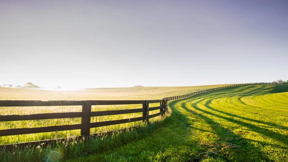 fazenda